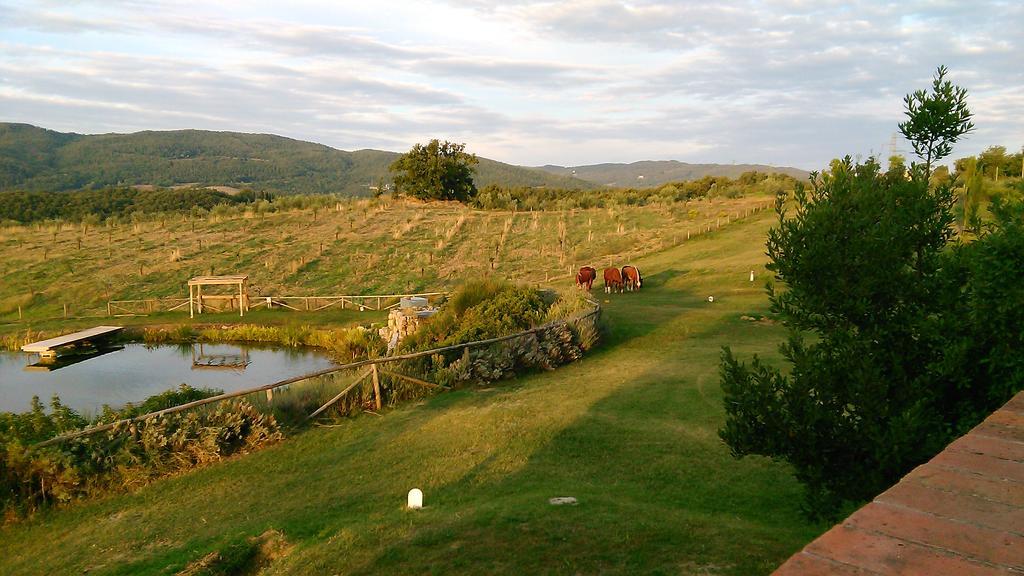 Fattoria San Paolo Agriturismo Montecastelli Pisano Buitenkant foto