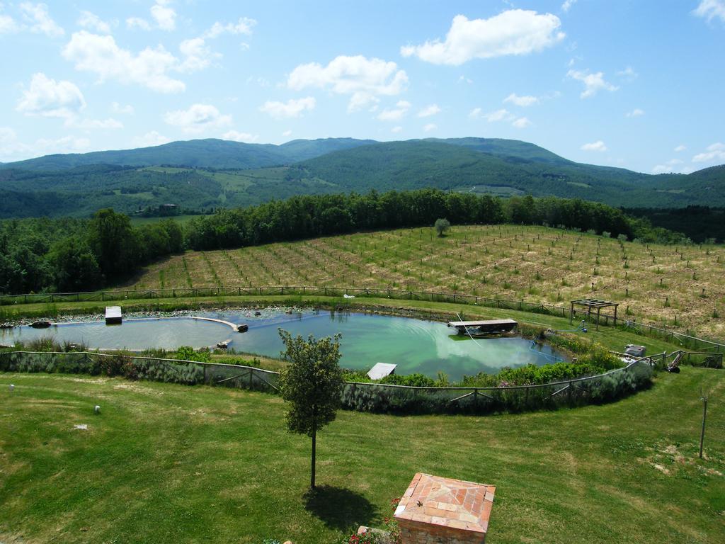 Fattoria San Paolo Agriturismo Montecastelli Pisano Buitenkant foto